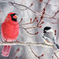 Birds of a Feather