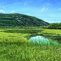 Summer in Acadia